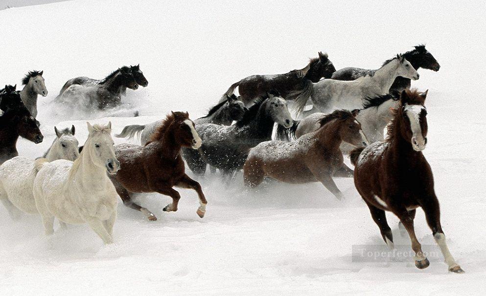 雪の上で馬を走らせる油絵